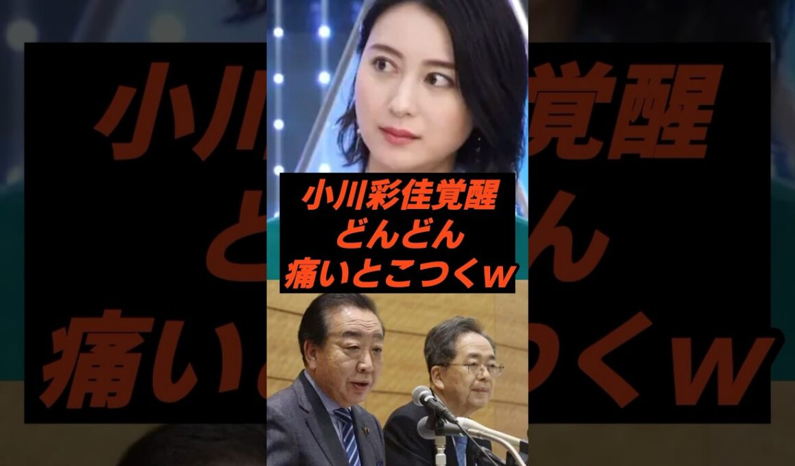 小川彩佳覚醒どんどん痛いとこつくw #小川彩佳　#野田佳彦