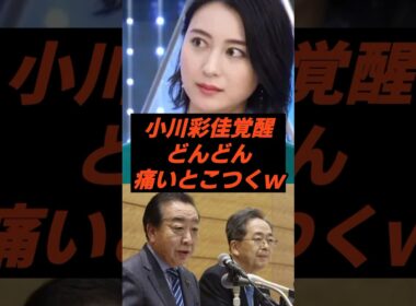 小川彩佳覚醒どんどん痛いとこつくw #小川彩佳　#野田佳彦