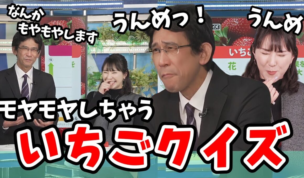 【白井ゆかり・山口剛央】高難易度すぎて全問カンが頼りになってしまう「いちごクイズ」【ウェザーニュース切り抜き】