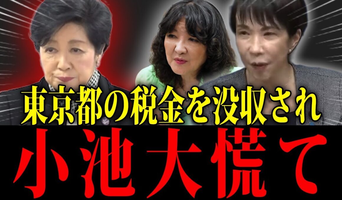 【小池百合子】※小池、記者会見で高市政権に噛み付くも特大ブーメラン食らうw w w【佐藤沙織里 消費税 東京都議会本会議】