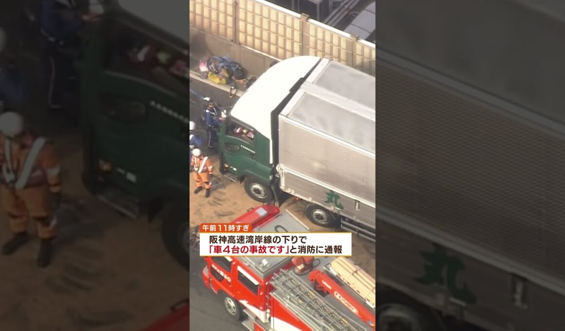 【前を見ていなかった】トラック突っ込み軽乗用車が大破　厚さ約30センチまで押しつぶされる 70代夫婦死亡　#shorts #事故　#多重事故