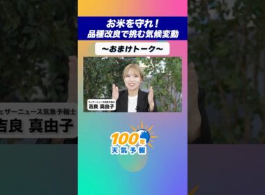【100年天気予報】~おまけ~お米を守れ！品種改良で挑む気候変動 #通勤タイパ #天気 #気候変動 #学び