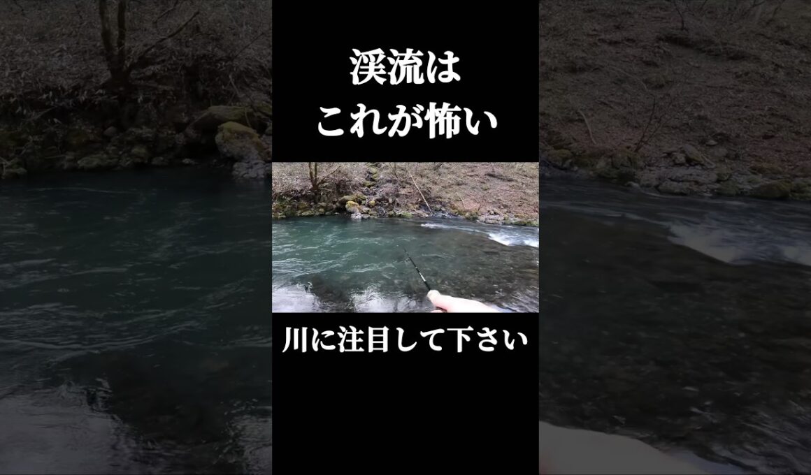 渓流はこれが怖い。#shorts