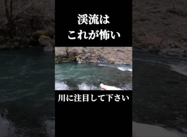 渓流はこれが怖い。#shorts