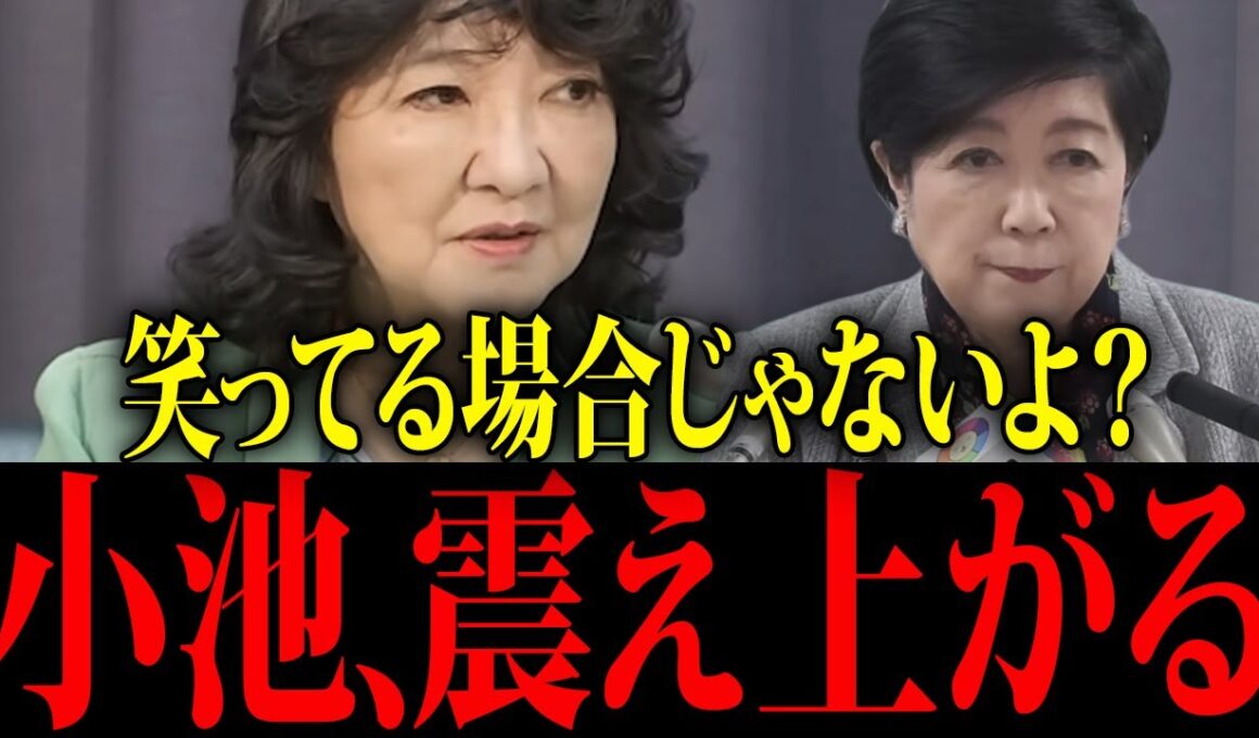 【小池百合子】※片山さつきがトンデモない政策にブチギレ…小池終了【佐藤沙織里 消費税 東京都議会本会議】