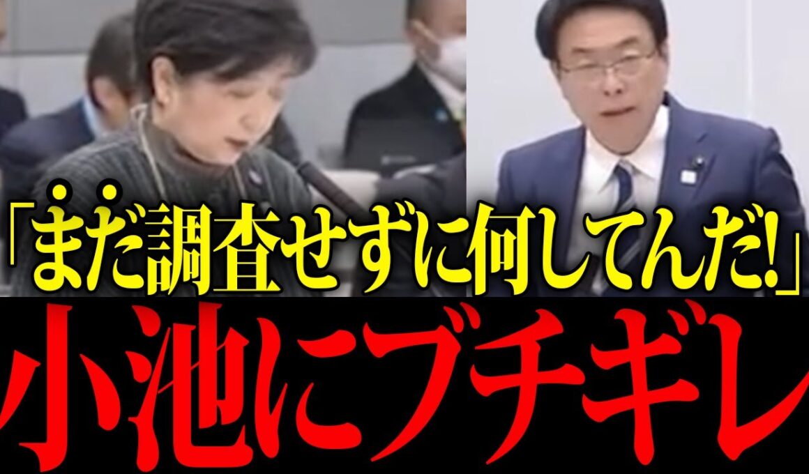 【小池百合子】※いまだに調査をしていないことがバレて、小池終了…【佐藤沙織里 消費税 東京都議会本会議】