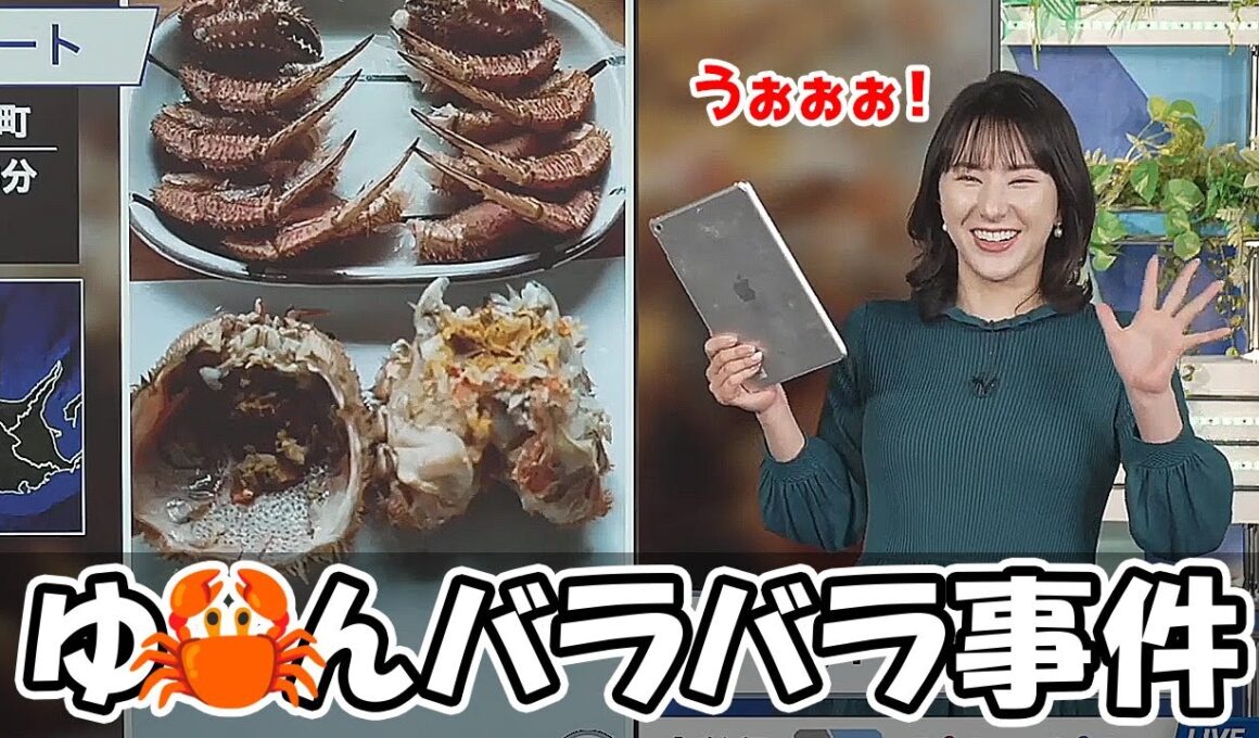 【白井ゆかり】リポートでバラバラに解体され美味しく頂かれるお天気お姉さん