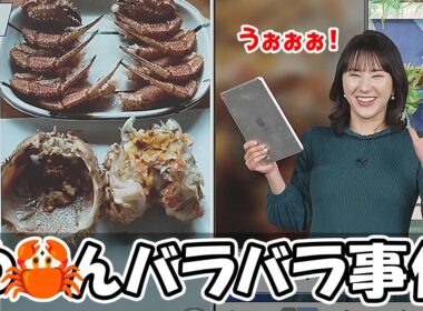 【白井ゆかり】リポートでバラバラに解体され美味しく頂かれるお天気お姉さん