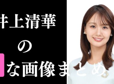 【井上清華】素晴らしすぎるグラビア