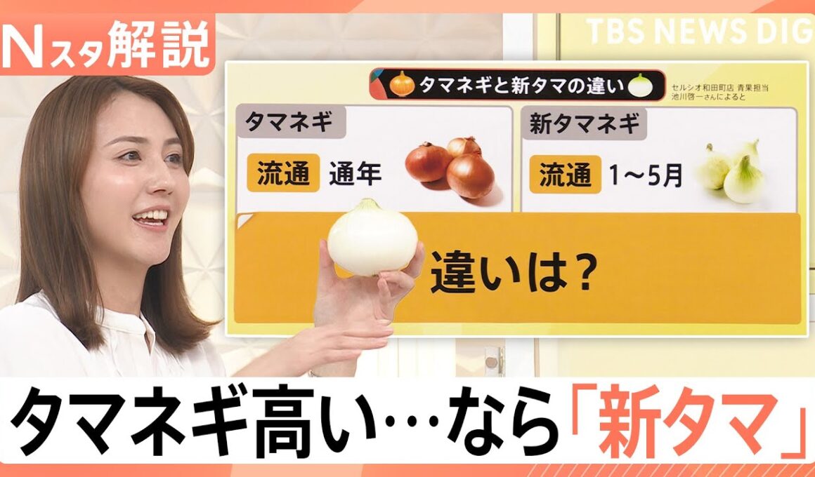 タマネギは高いけど…新タマネギはお買い得！「タマネギ」と「新タマ」の違いは？【Nスタ解説】｜TBS NEWS DIG