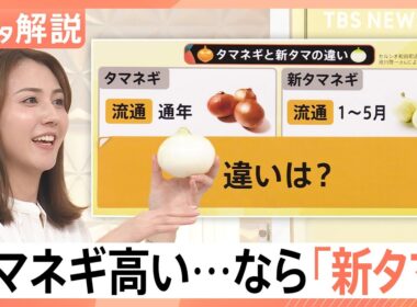 タマネギは高いけど…新タマネギはお買い得！「タマネギ」と「新タマ」の違いは？【Nスタ解説】｜TBS NEWS DIG