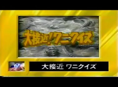 お笑いウルトラクイズ   ワニクイズ #お笑い #ビートたけし