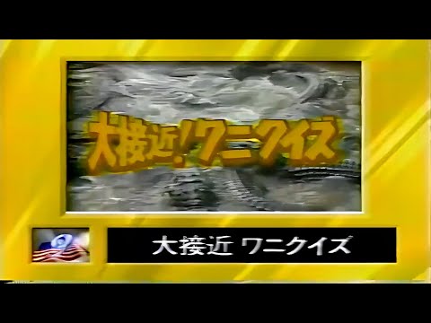 お笑いウルトラクイズ   ワニクイズ #お笑い #ビートたけし