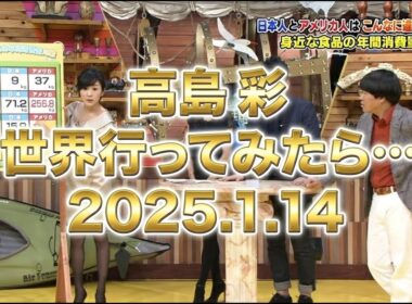 高島彩｜世界行ってみたら… アメリカSP｜2015.01.14