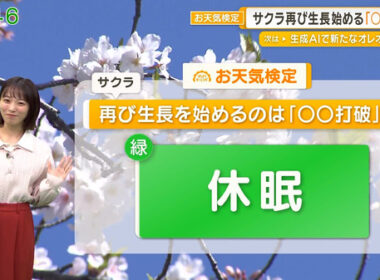 【画像】今日の今井春花さん　1.17