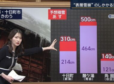 【画像】今日の細川栞さん 1.29