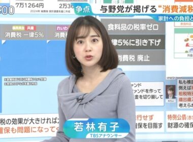 【画像】今日の若林有子さん　1.20