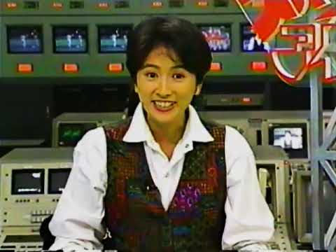 豊田順子　1993年