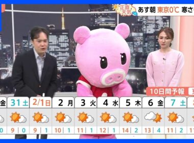 【1月30日 関東の天気】記録的少雨 関東のこの先は？｜TBS NEWS DIG
