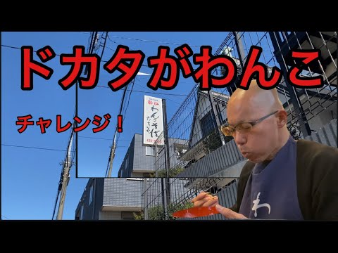 【柴犬飼い主56歳】わんこそば！結果がやばい！