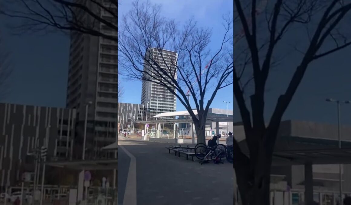 【#前橋駅🚋💯】#ブリリアタワー💯りありん⇨#山田莉愛🐼#DIANNAプロジェクト✨#MERUCHU✨#MyRabbit🐇#羽菜🏵️#柚嬉🍋#瑠香🥤#可児愛梨🦀💨#三栗ゆず🍋#佐藤二朗✨👑#杉井みぃ🐲