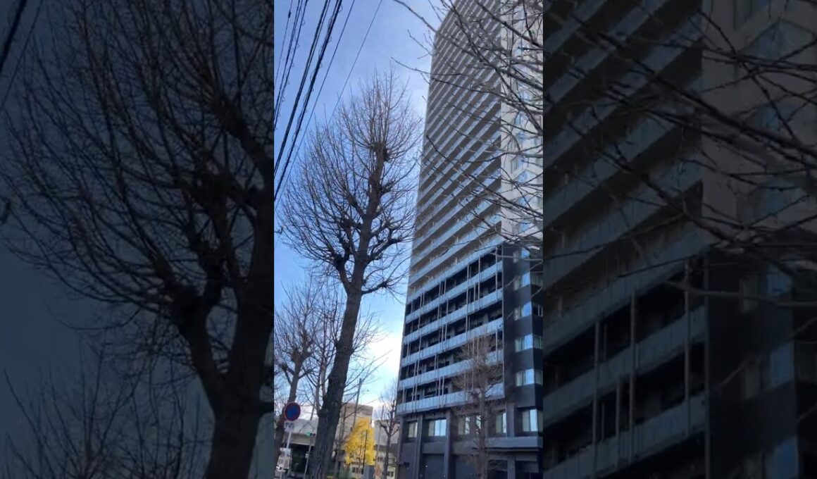 【#前橋駅💯】#ブリリアタワー🏢💨2月❄️🍁❄️🧊😱💯#DIANNAプロジェクト✨#MERUCHU✨#沖名むぎ🍞#MyRabbit🐇#羽菜🏵️#柚嬉🍋#可児愛梨🦀💨#三栗ゆず🍋#こっちむいてダーリン✨