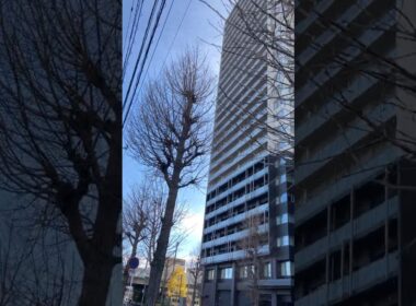 【#前橋駅💯】#ブリリアタワー🏢💨2月❄️🍁❄️🧊😱💯#DIANNAプロジェクト✨#MERUCHU✨#沖名むぎ🍞#MyRabbit🐇#羽菜🏵️#柚嬉🍋#可児愛梨🦀💨#三栗ゆず🍋#こっちむいてダーリン✨