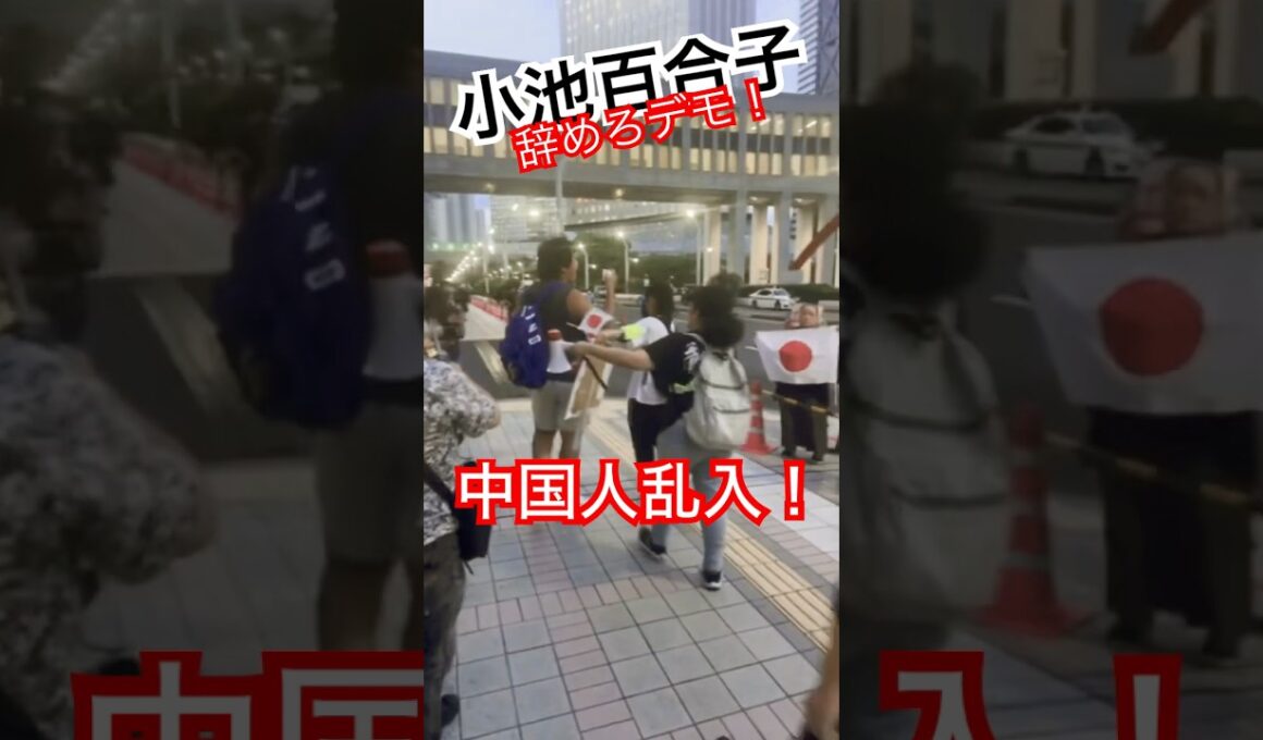【小池百合子辞めろデモ #shorts 】中国人がデモに乱入！ブチギレ！妨害された！ #小池百合子 #カイロ大学 #妨害 #ブチギレ #いいね歓迎 #チャンネル登録お願いします