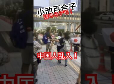 【小池百合子辞めろデモ #shorts 】中国人がデモに乱入！ブチギレ！妨害された！ #小池百合子 #カイロ大学 #妨害 #ブチギレ #いいね歓迎 #チャンネル登録お願いします
