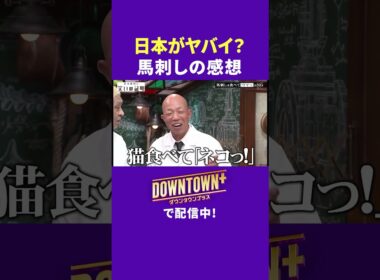 日本がヤバイ!馬刺しの感想に松本が物申す  #実験 #ダウンタウンプラス
