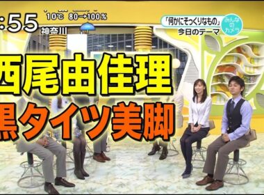 西尾由香里出演｜ズームイン!! 2010.04