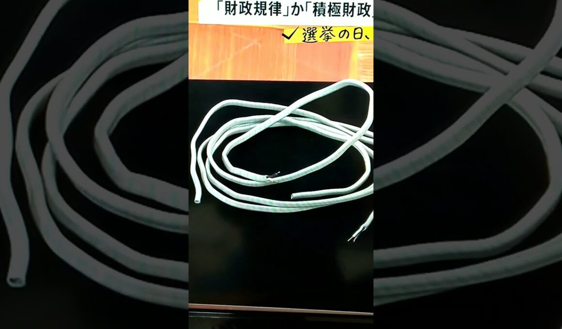 2/4小川彩佳23と新潟・青森大雪応援団92