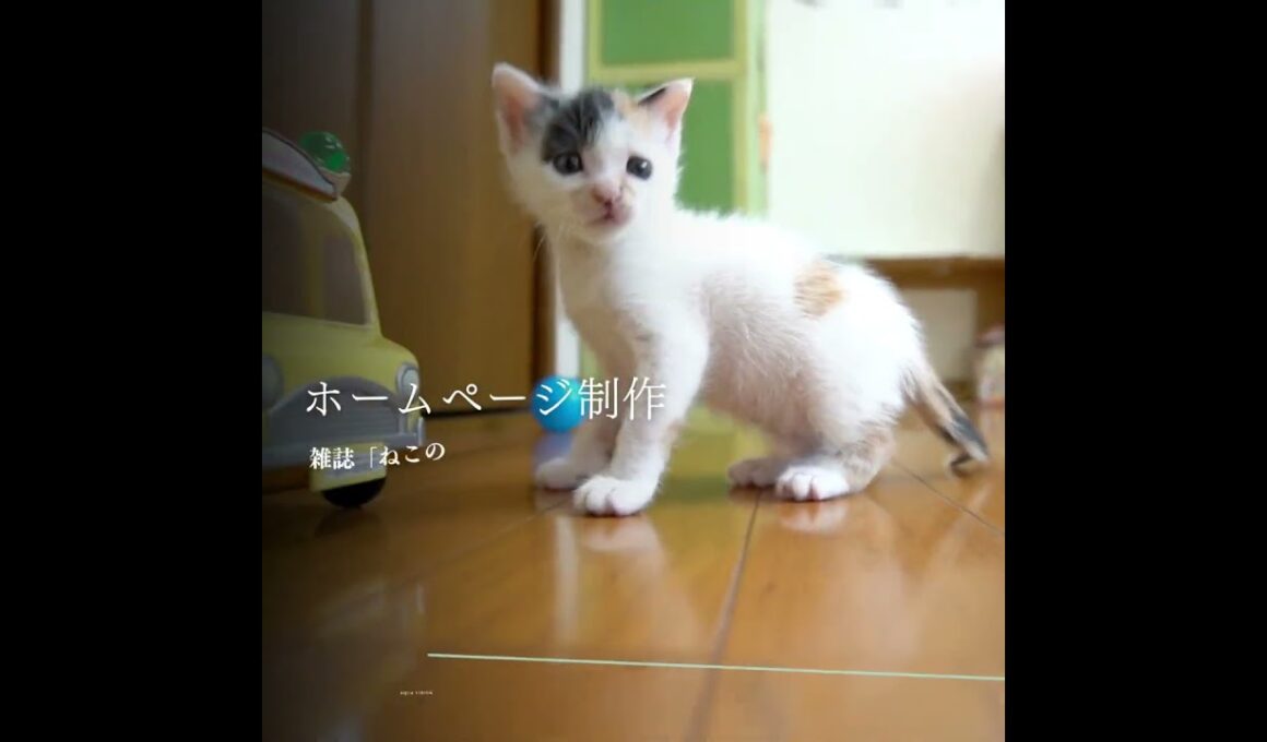 ECサイト・HP制作「AQUA VISION」広告（真四角）