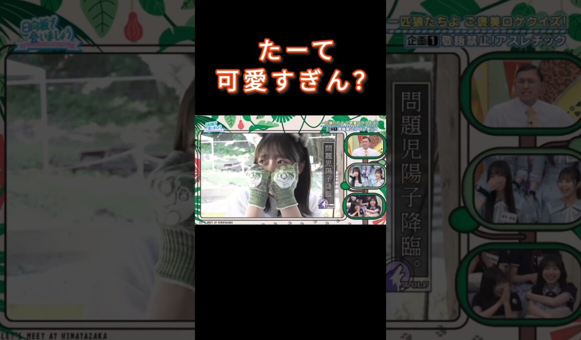 やらかすたーて(正源司陽子)が可愛すぎる #正源司陽子 #日向坂で会いましょう  #髙橋未来虹 #よーこ  #たーて