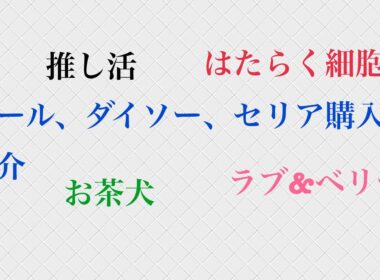 シール、ダイソー、セリア購入品紹介