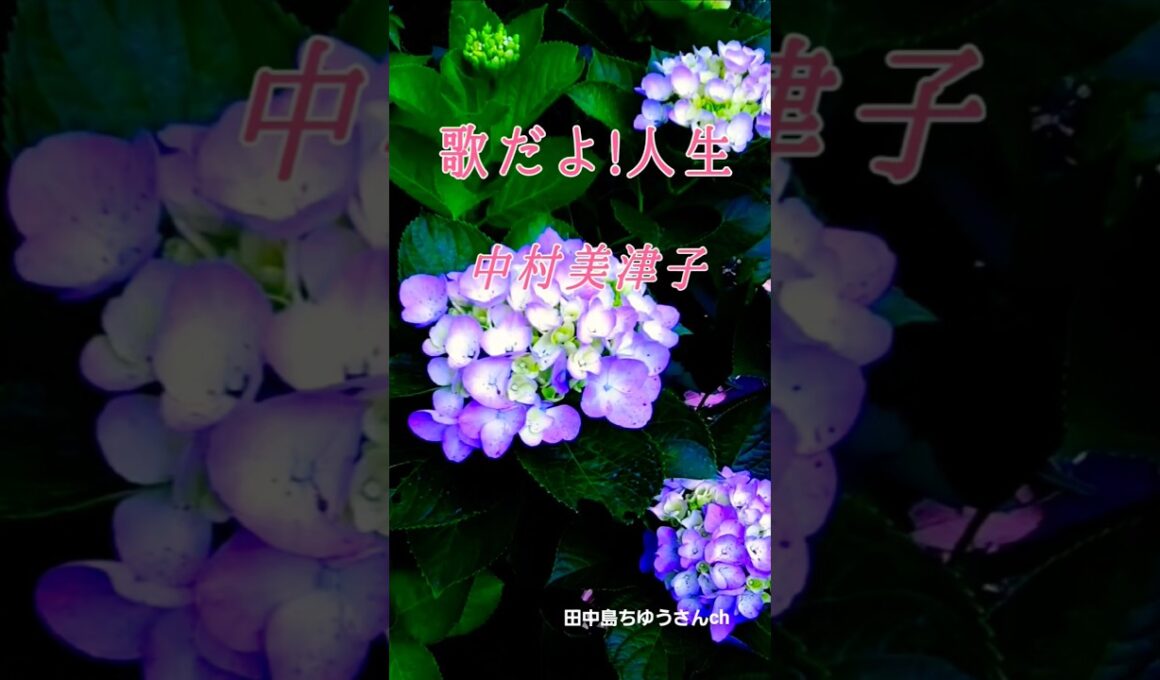 中村美津子♪︎歌だよ人生 #昭和歌謡
