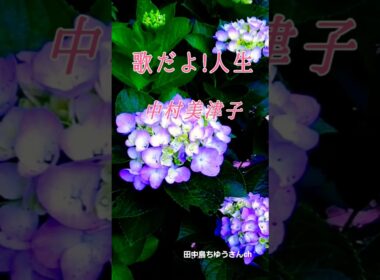 中村美津子♪︎歌だよ人生 #昭和歌謡
