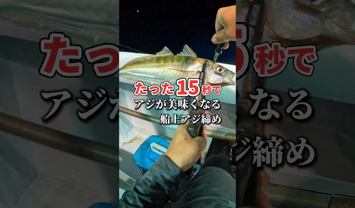 たった15秒で釣れたアジが美味くなる方法 #アジング