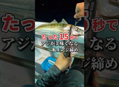 たった15秒で釣れたアジが美味くなる方法 #アジング