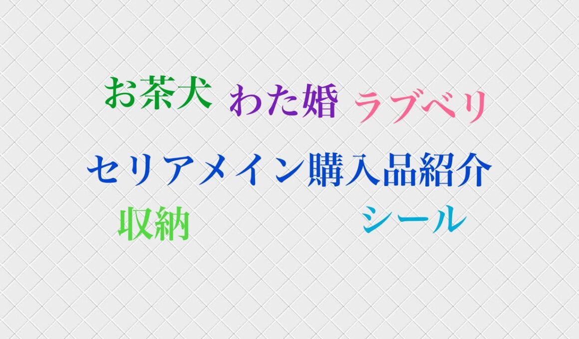 セリアメイン購入品紹介