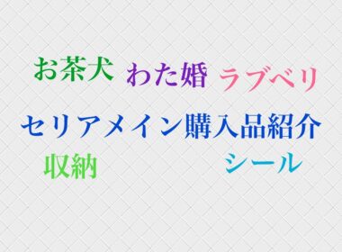 セリアメイン購入品紹介