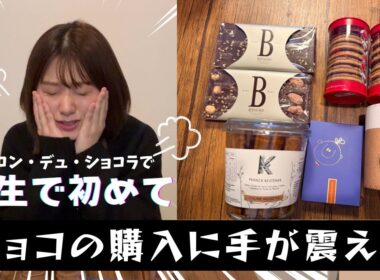 【購入品】サロン・デュ・ショコラで震えた話