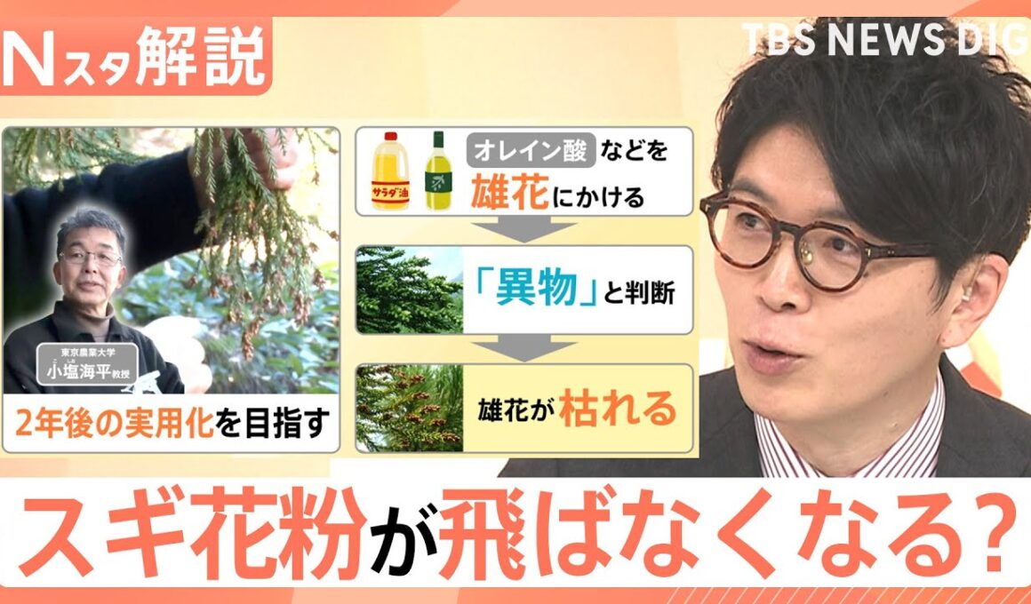 「雄花だけを枯らす」最新研究 スギ花粉が飛ばなくなる未来も…？くしゃみ・鼻水／鼻づまり…症状によって薬を使い分けを【Nスタ解説】｜TBS NEWS DIG