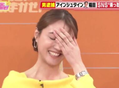 稲田被告はさすがに面白かったので貼っとこう