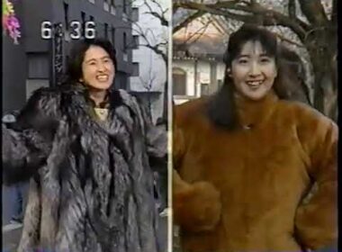 豊田順子と鈴木君枝のキツネとタヌキ特集