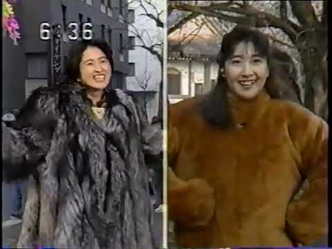 豊田順子と鈴木君枝のキツネとタヌキ特集