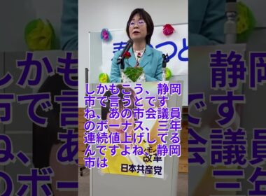 #日本共産党静岡県西部地区委員会　鈴木ちか「春の集い」あいさつ③