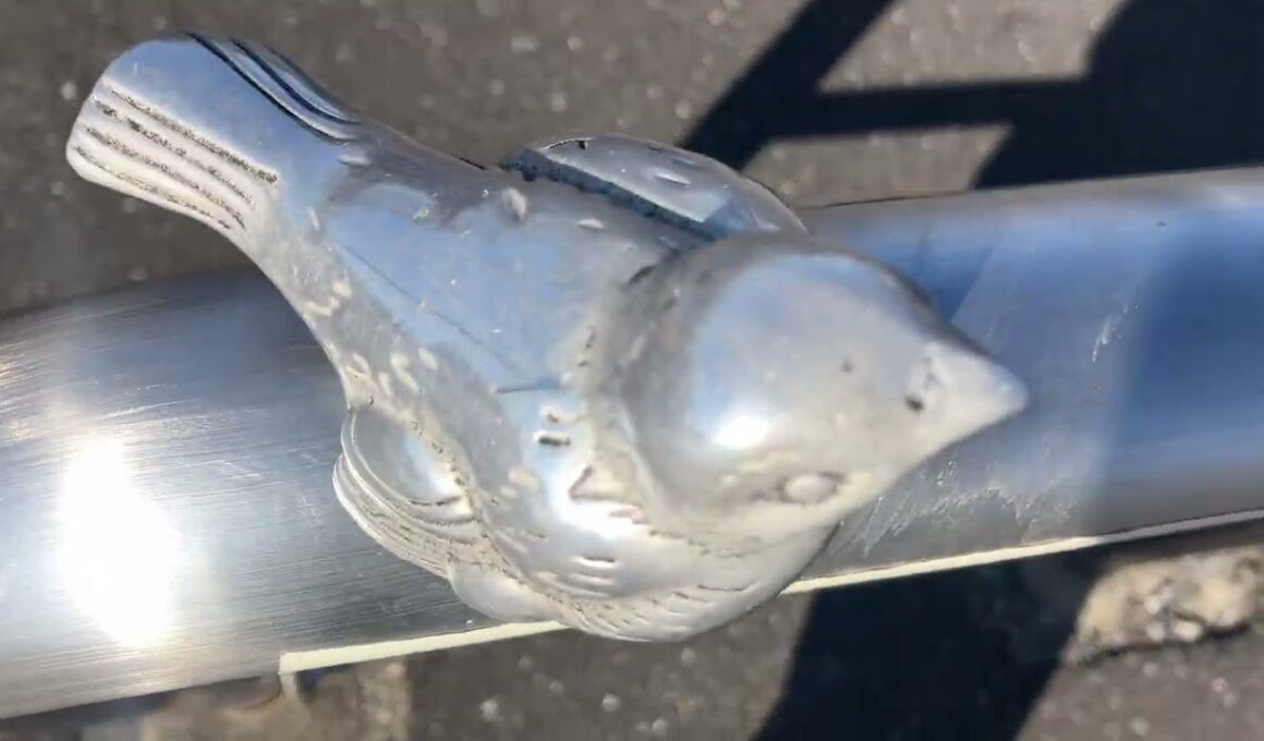 👑@risu_honoka✨🗣#すずめの戸締り すずめの🕊️💨2️⃣【住みたい街No.1🏚️#吉岡町⛄️】#DIANNAプロジェクト✨#MyRabbit🐇#羽菜🏵️#三栗ゆず🍋#こっちむいてダーリン✨