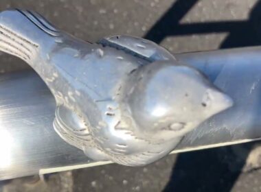 👑@risu_honoka✨🗣#すずめの戸締り すずめの🕊️💨2️⃣【住みたい街No.1🏚️#吉岡町⛄️】#DIANNAプロジェクト✨#MyRabbit🐇#羽菜🏵️#三栗ゆず🍋#こっちむいてダーリン✨