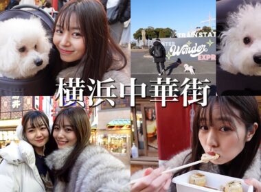 【家族全員集合】中華街で爆食い旅！ビションフリーゼのらむねとゆかいすぎる家族【横浜中華街】